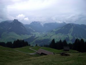 2. Tag