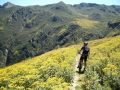 Downhill durch Blumen 1