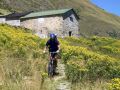 Downhill durch Blumen 2