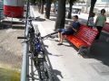 Glace Lugano