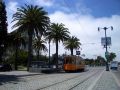 Strassenbahn und Palmen