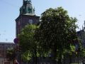 Domkirche 2