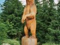Baer