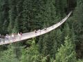 Capilari Bridge