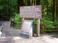 056